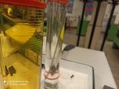 IMG-20200213-WA0006.jpg